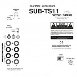 Harman Kardon SUB TS11 Reparatie Subwoofer
